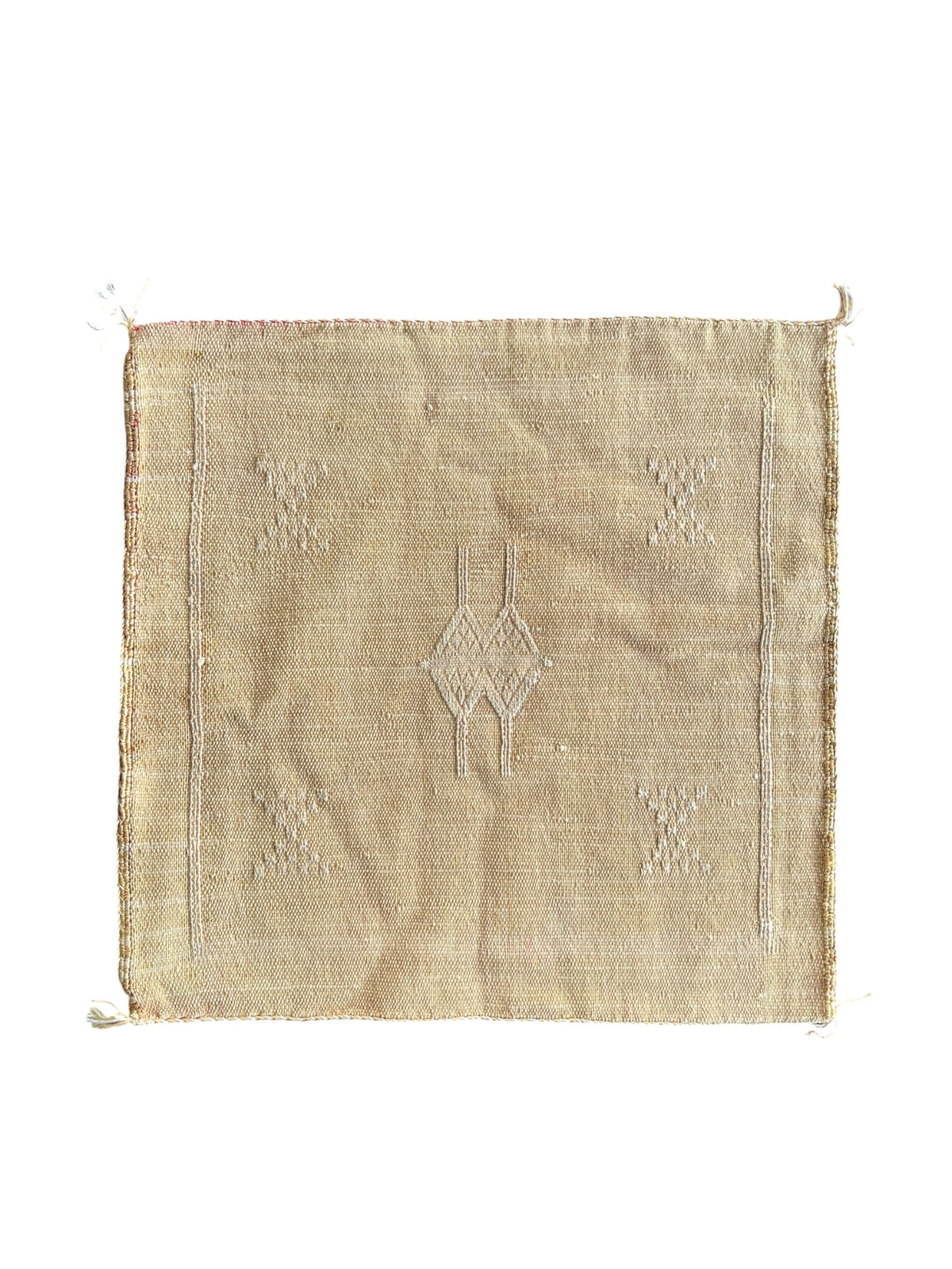 Moroccan Cactus Silk Cushion 50x50cm | Golden 03
