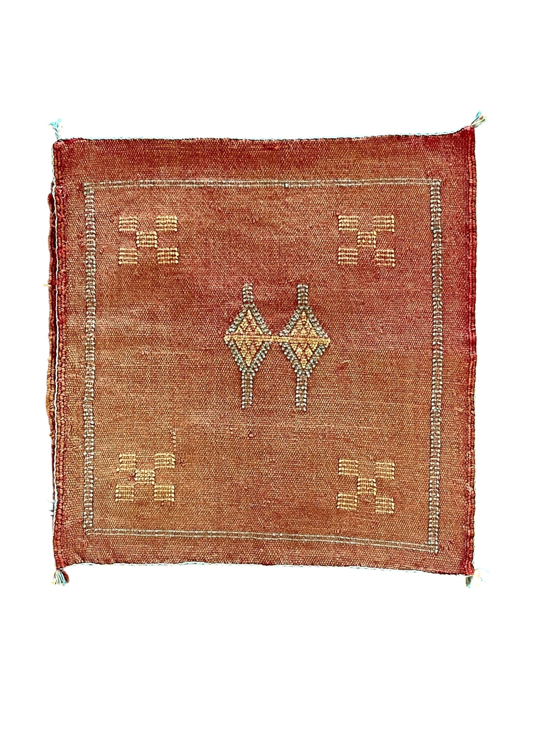 Moroccan Cactus Silk Cushion 50x50cm | Terracotta Clay