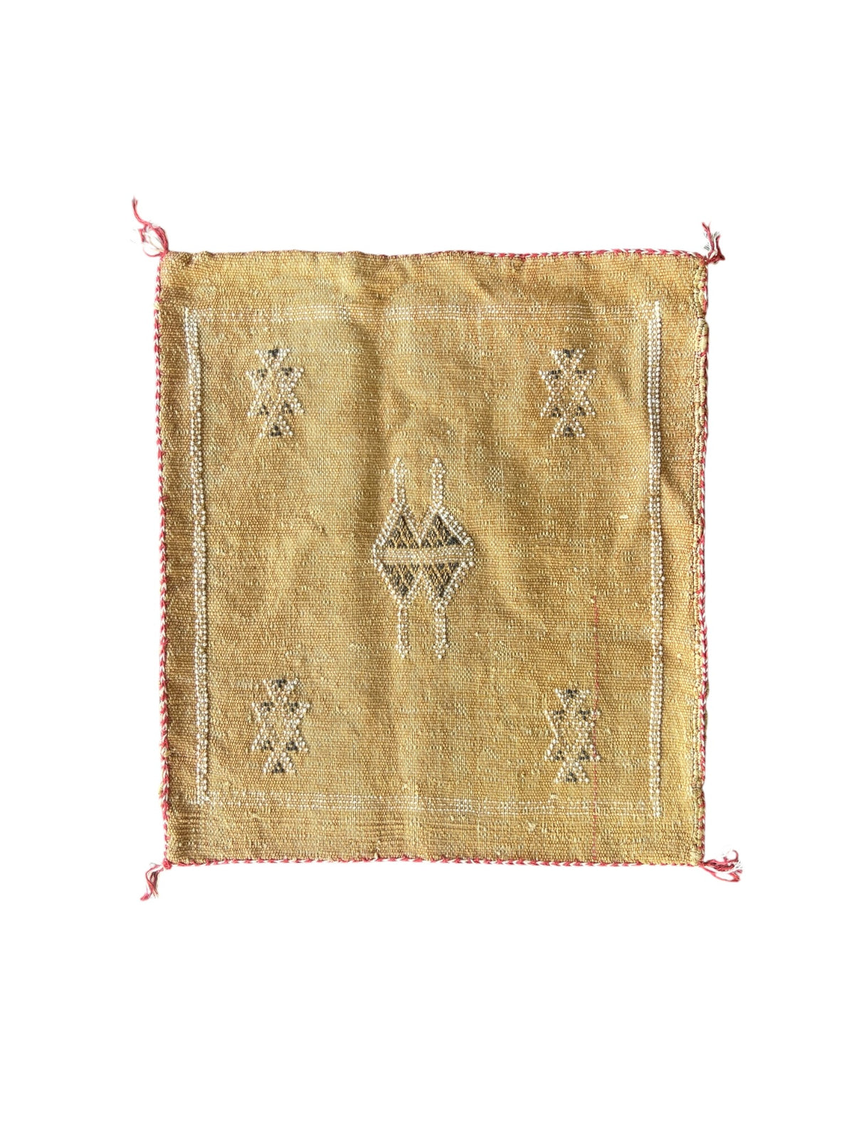 Moroccan Cactus Silk Cushion 50x50cm | Golden 06